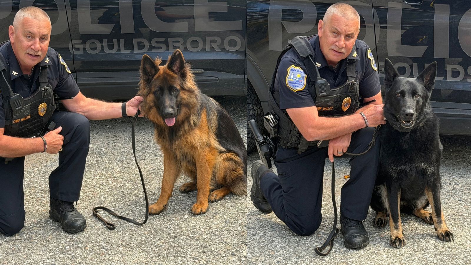 K9 Kia and K9 Aspen